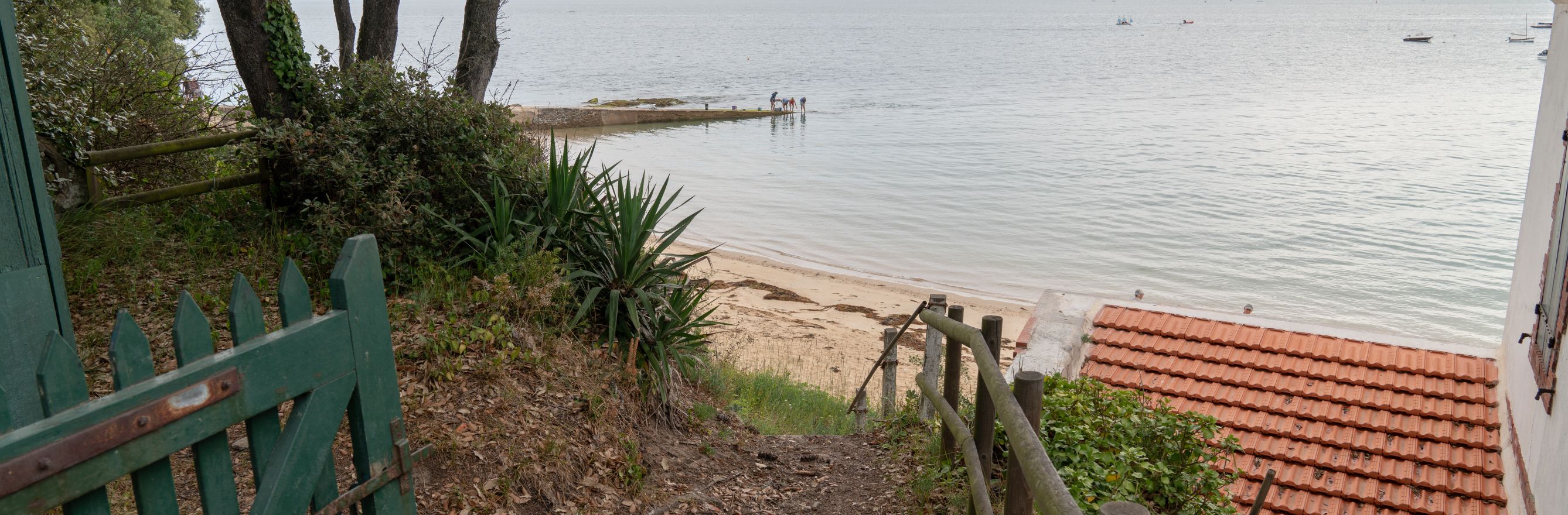 C'est la photo d'un paysage de l'île de Noirmoutier