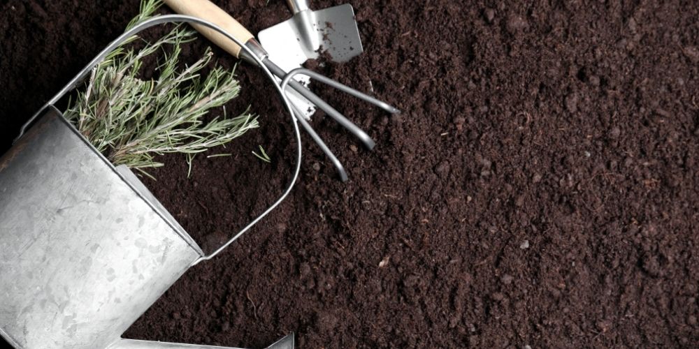 Résolution au jardin