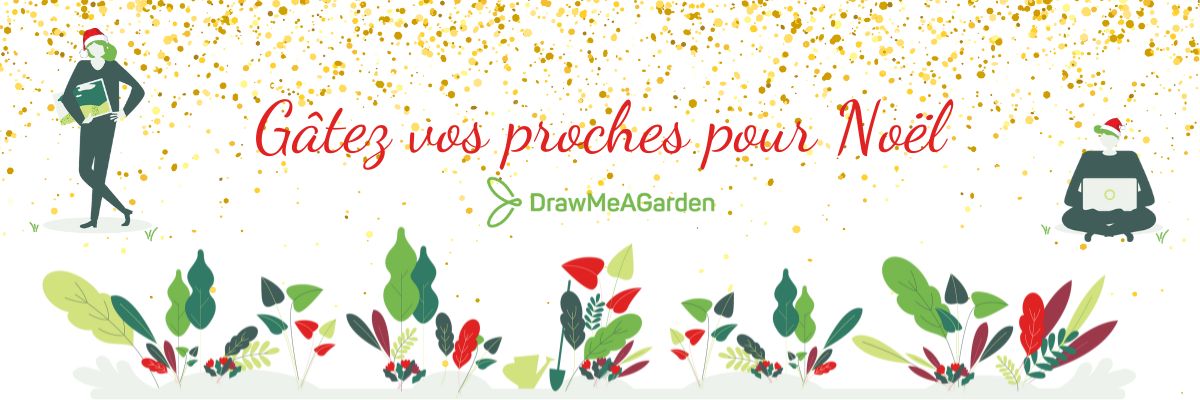 Offre de Noël Draw Me A Garden