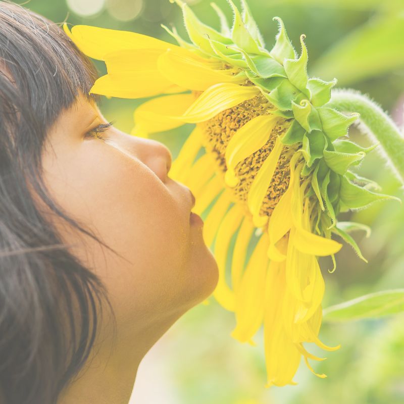 Enfant qui sent un tournesol