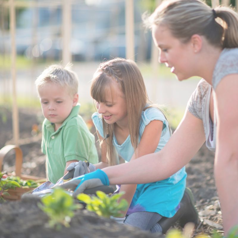 Enfants qui jardinent