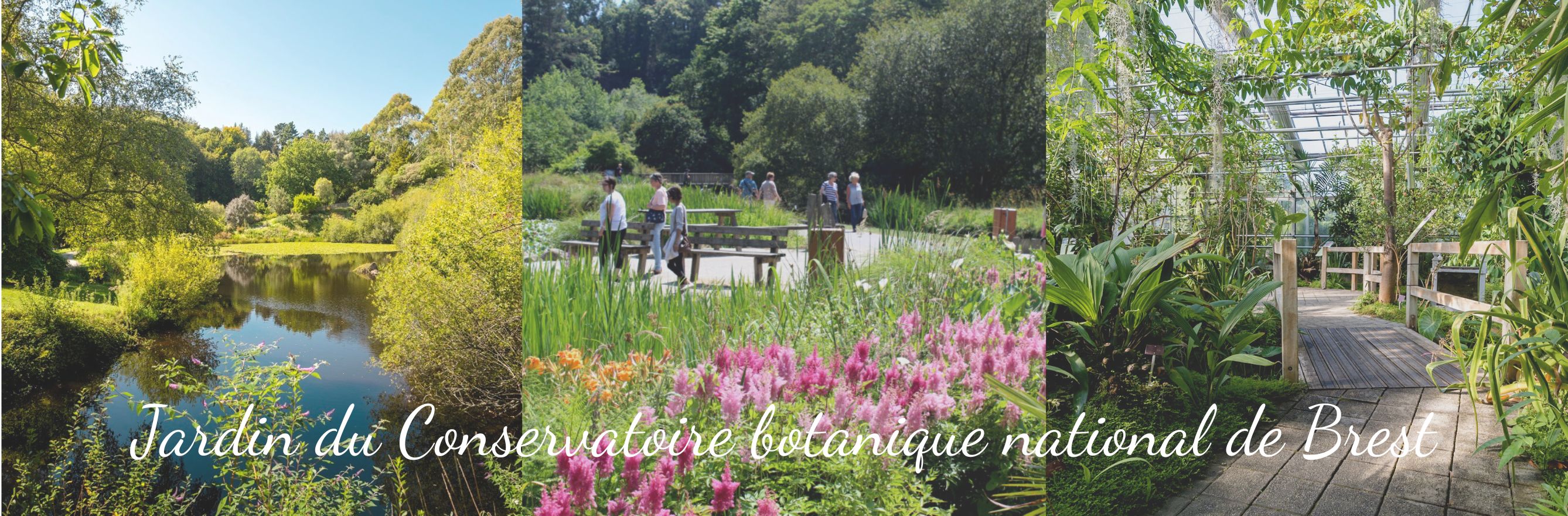 Jardin du Conservatoire botanique national de Brest