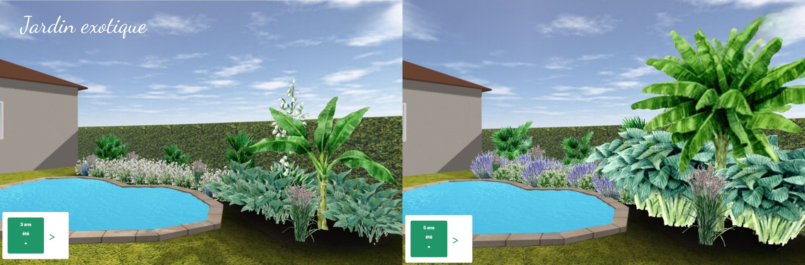 Jardin exotique en 3D