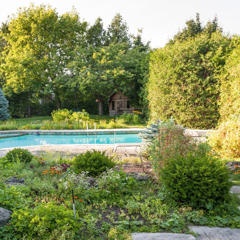 Barrière naturelle piscine