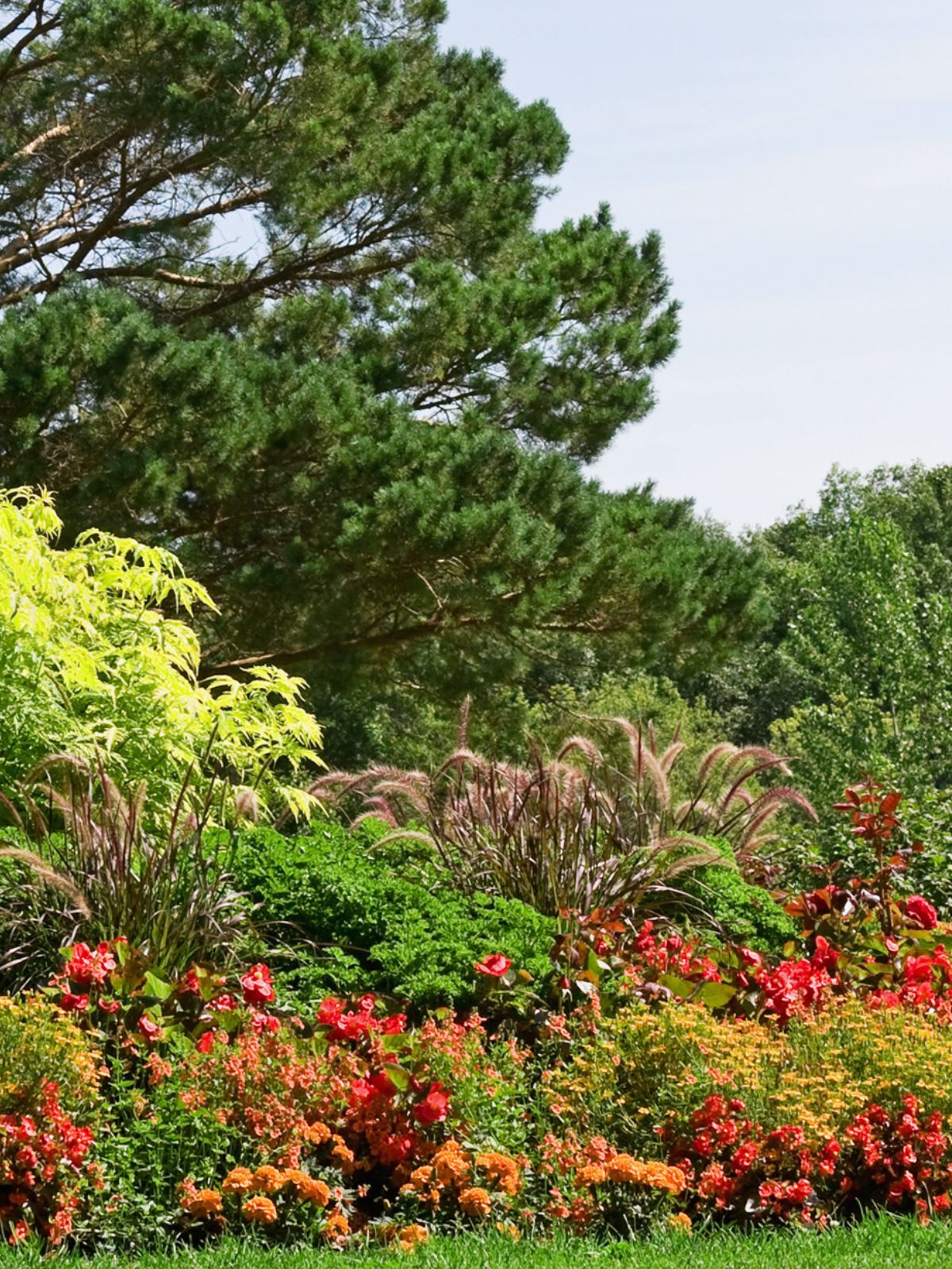 Jardin fleuri, différents volumes, teinte orangée