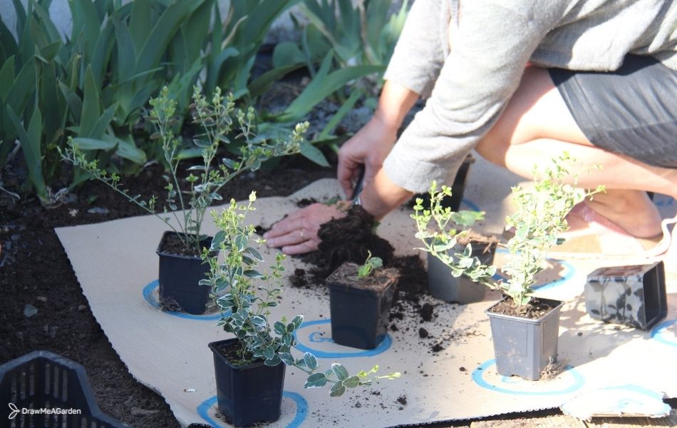 Réalisation de jardin