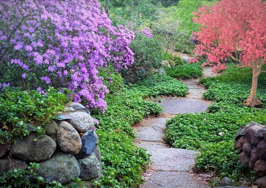 création de chemins jardin accueillant