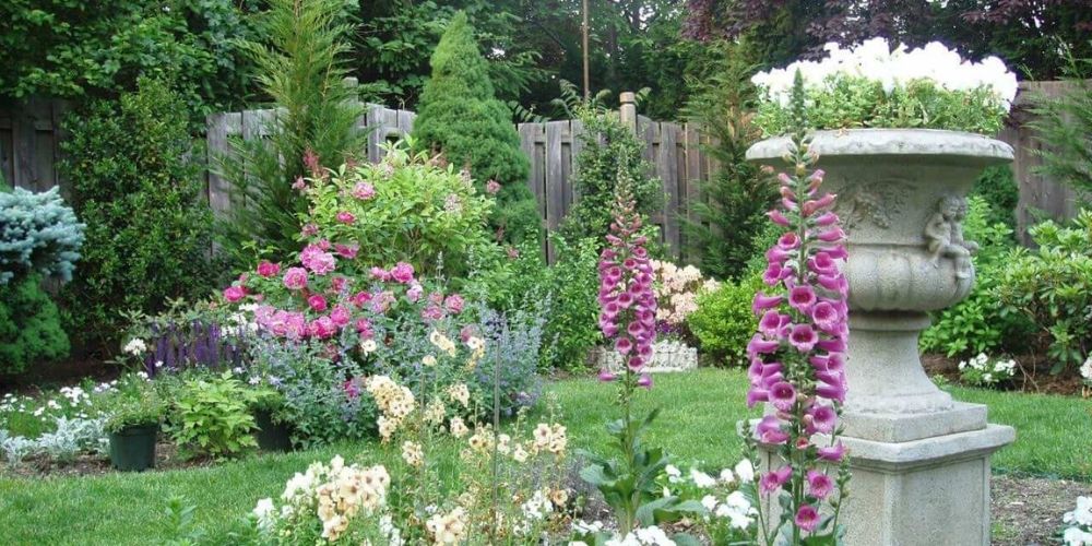 Magnifique plantes du jardin anglais