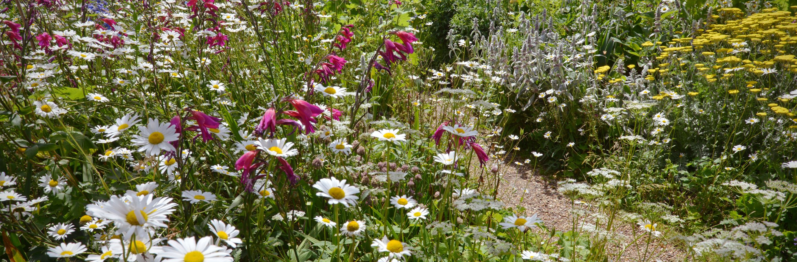 jardin anglais