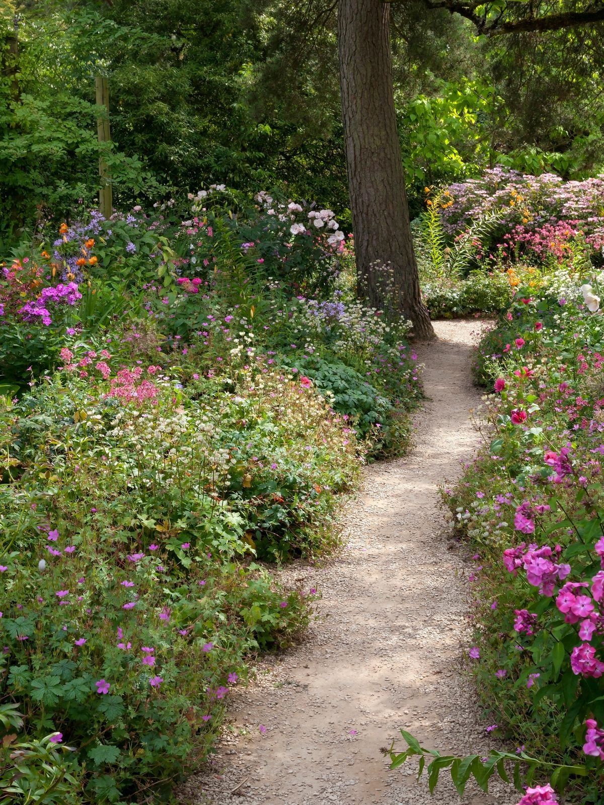 promenade dans un jardin anglais