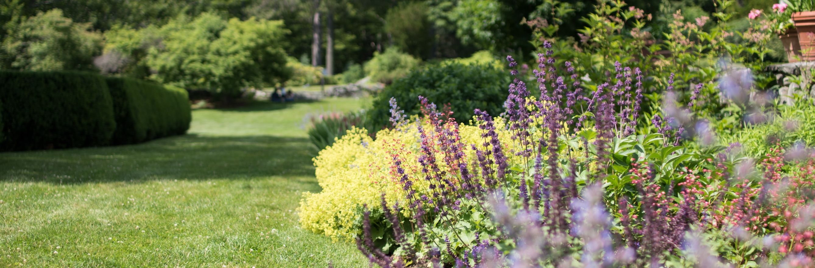 Photo d'un jardin anglais