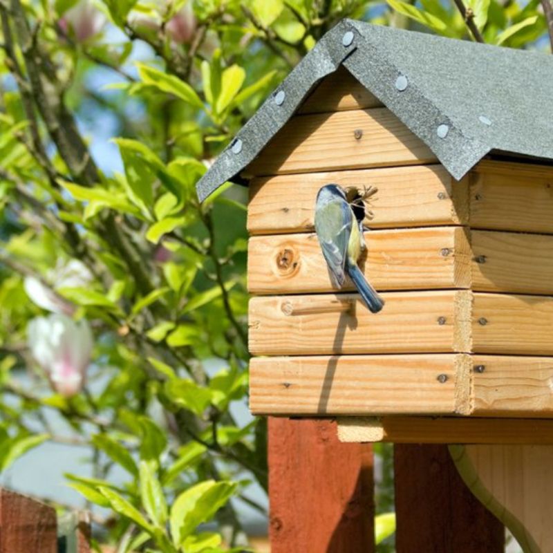 abris pour les animaux du jardin