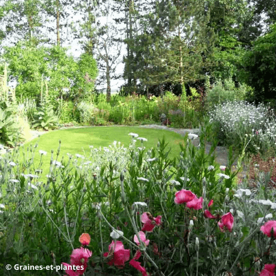 Le jardin remarquable et botanique du Beau Pays