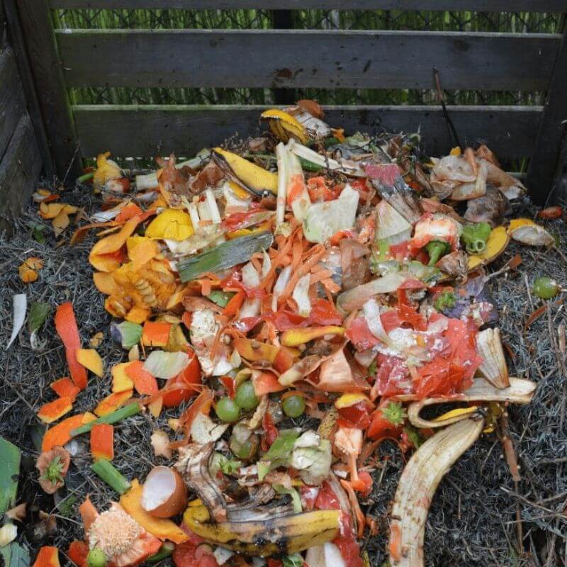 bac à compost avec déchets