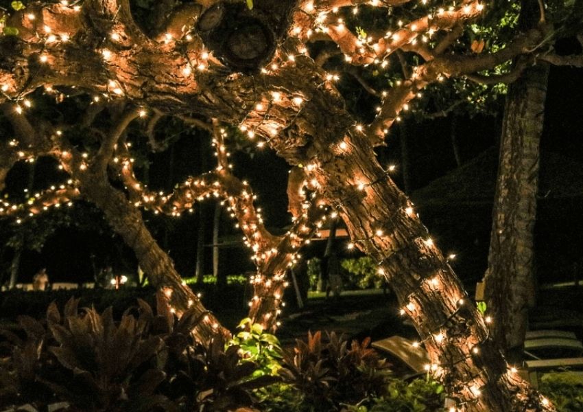 décoration lumineuse pour jardin accueillant