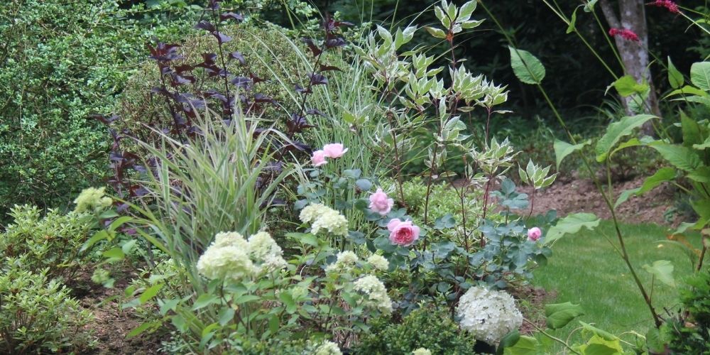 Conserver un joli jardin durable