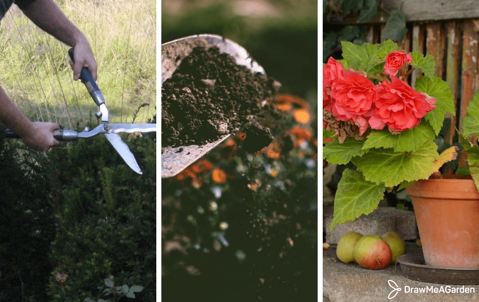 Les travaux à réaliser au jardin au mois d'août