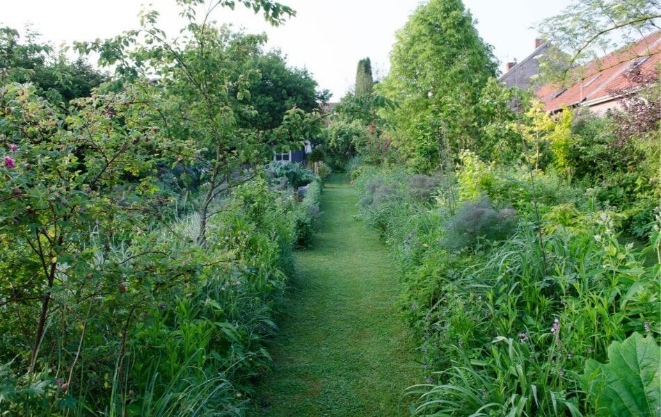 Le jardin d'essais de Didier Willery