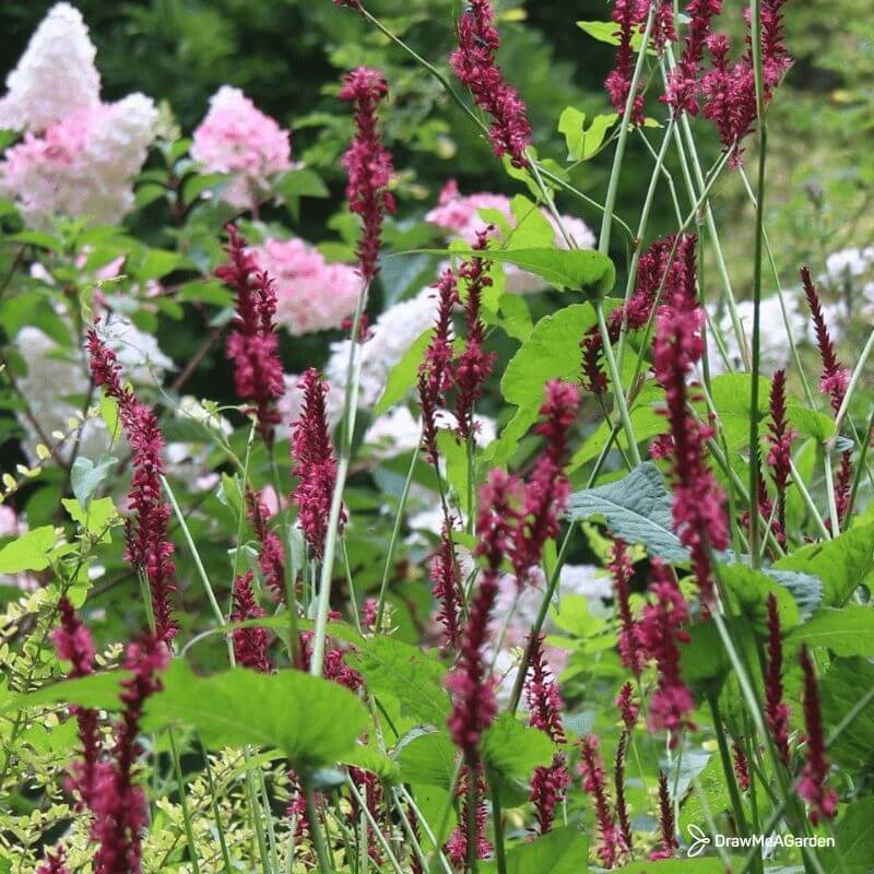un jardin en fleurs évasion bien-être