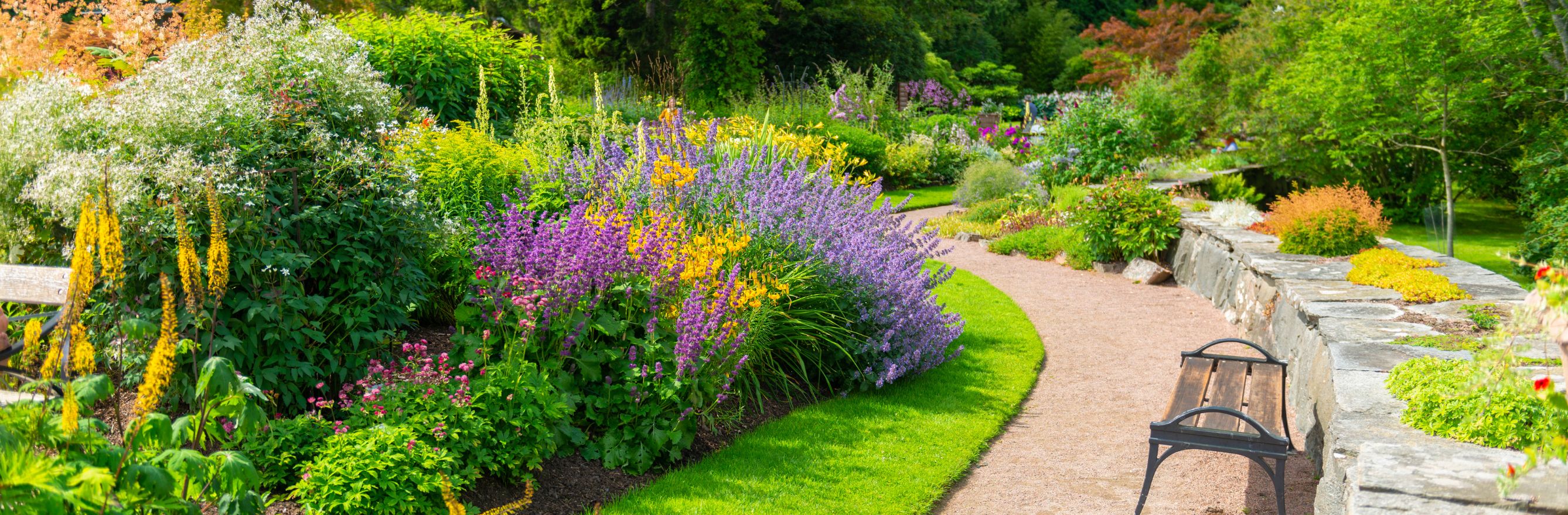 Image d'un grand jardin fleurit