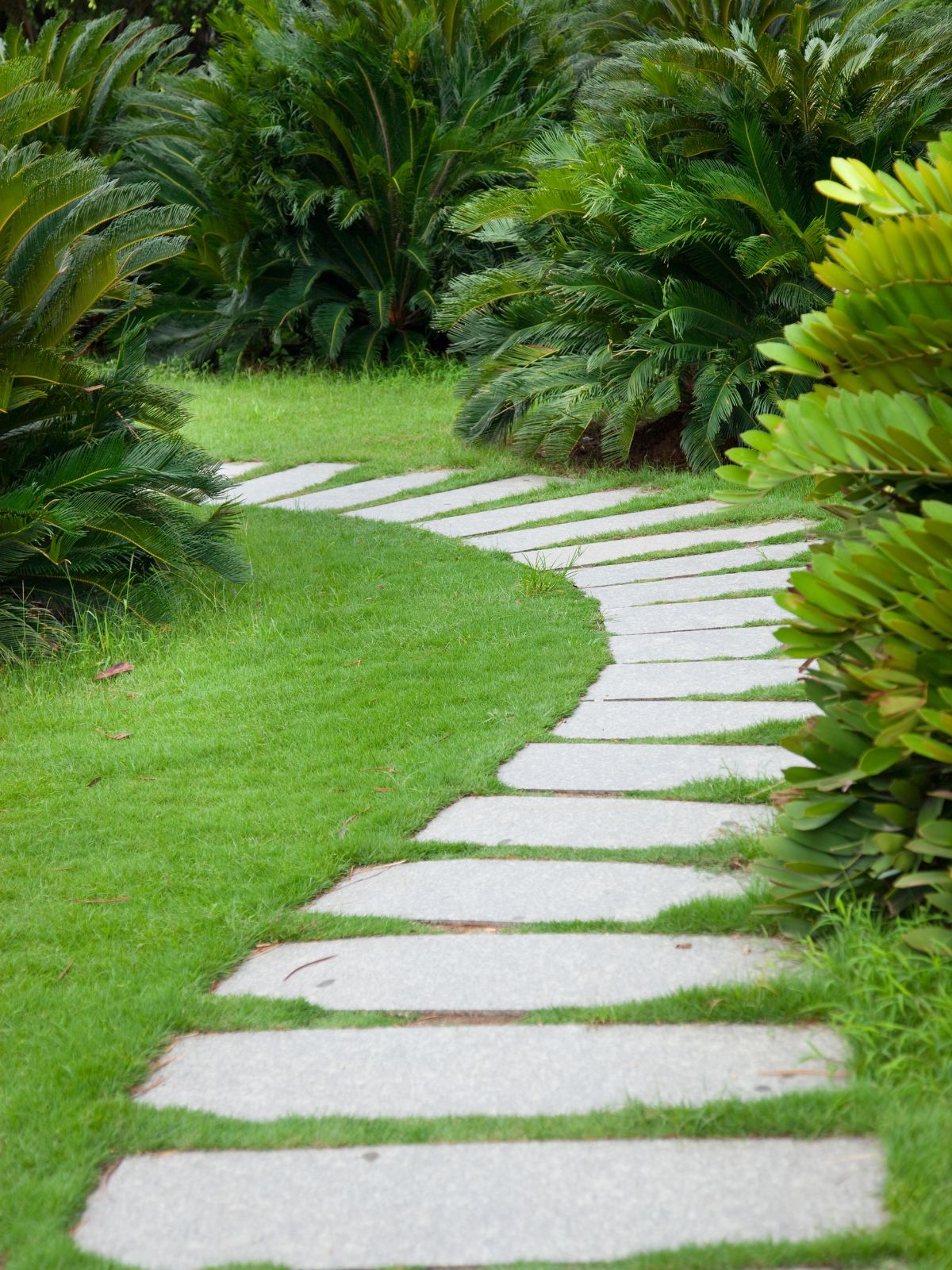 Pas japonais dans un jardin