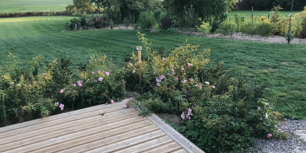 aménagement d’un joli massif de fleurs Draw Me A Garden