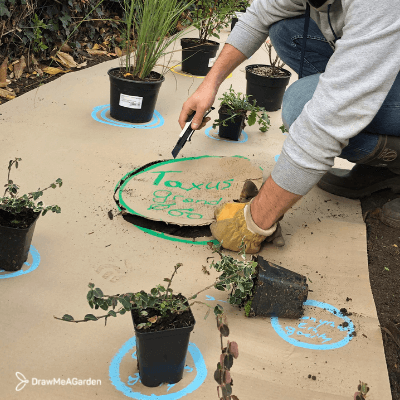 kit prêt à planter massifs de fleurs Draw Me A Garden