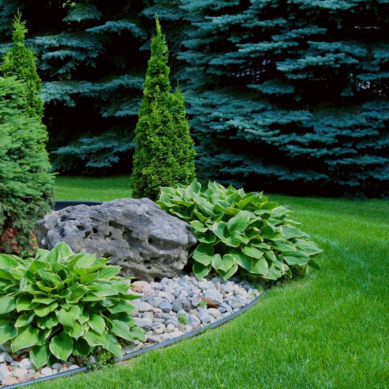 Jardin minéral avec hostas