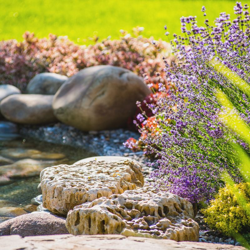 Jardin minéral au soleil