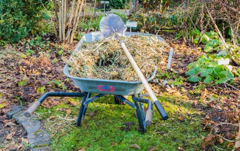 nettoyage du jardin avant l’automne