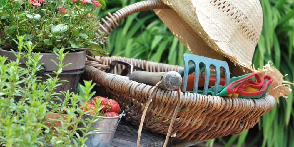 Les outils indispensables au jardin