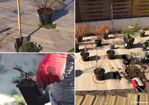 Comment créer un beau jardin pas cher