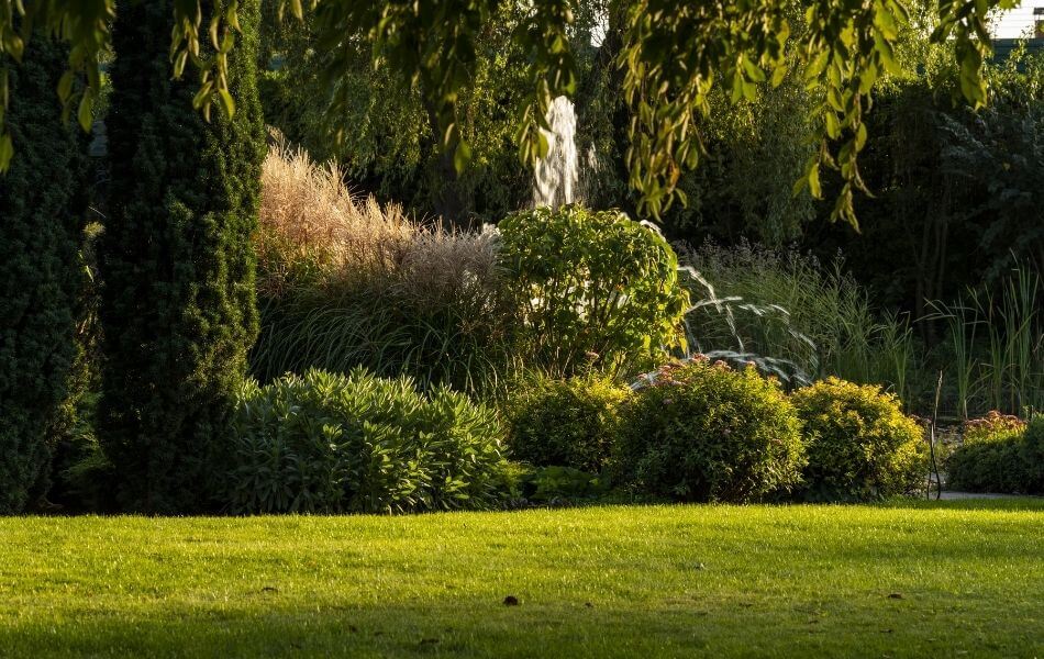 Joli jardin harmonieux avec bon choix d'emplacement des végétaux