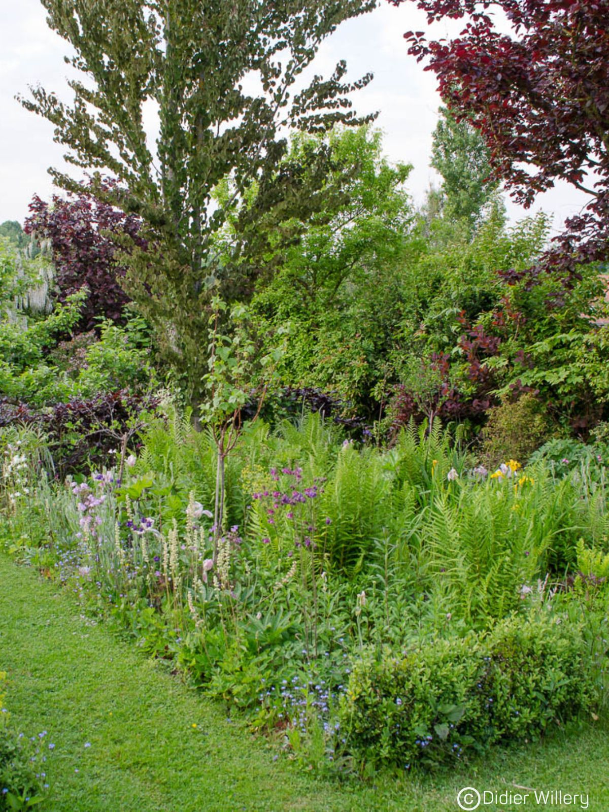 Créez votre jardin bucolique