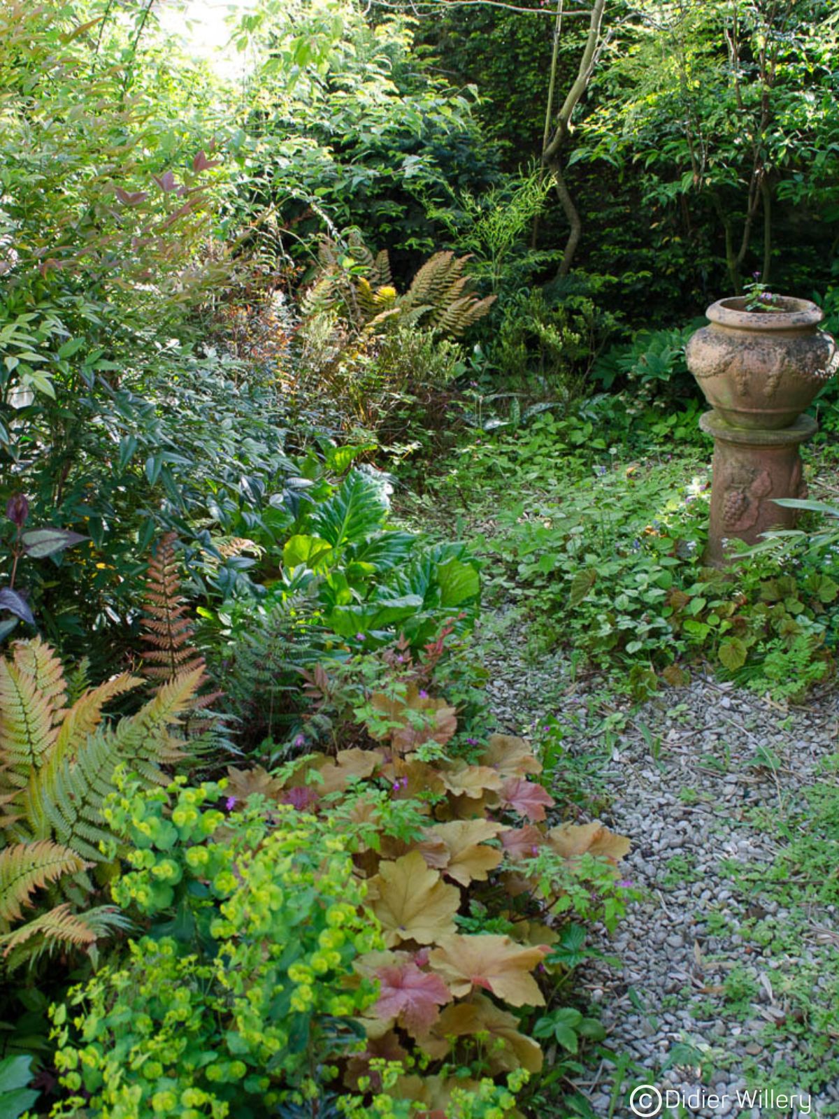 Comment aménager son jardin pour la faune sauvage