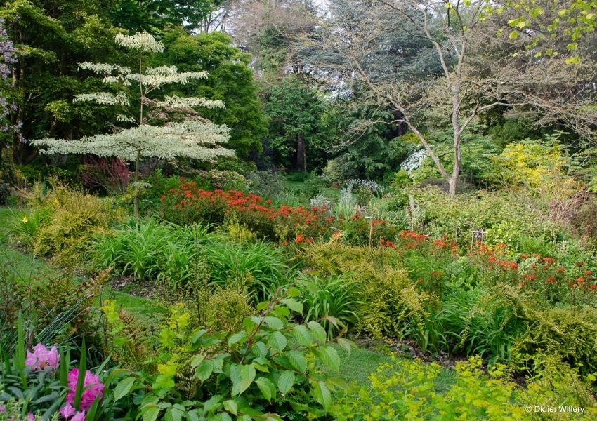 aménagement du jardin naturel sauvage