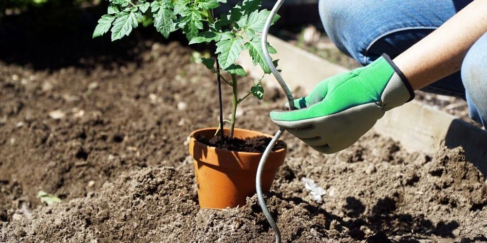 Jardiner, planter entretenir au mois de mars