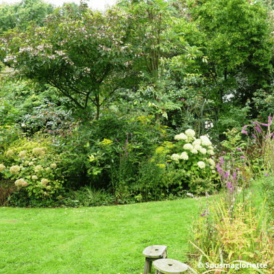 Jardin remarquable Jardin des Lianes