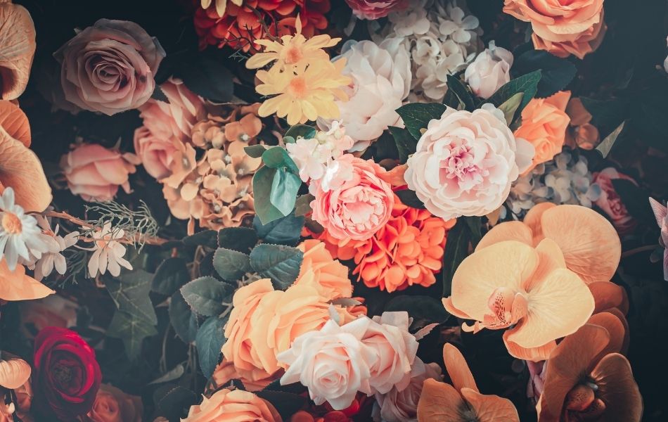 jolies fleurs