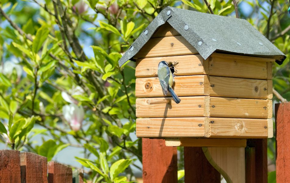 nichoir à oiseaux pour favoriser la biodiversité