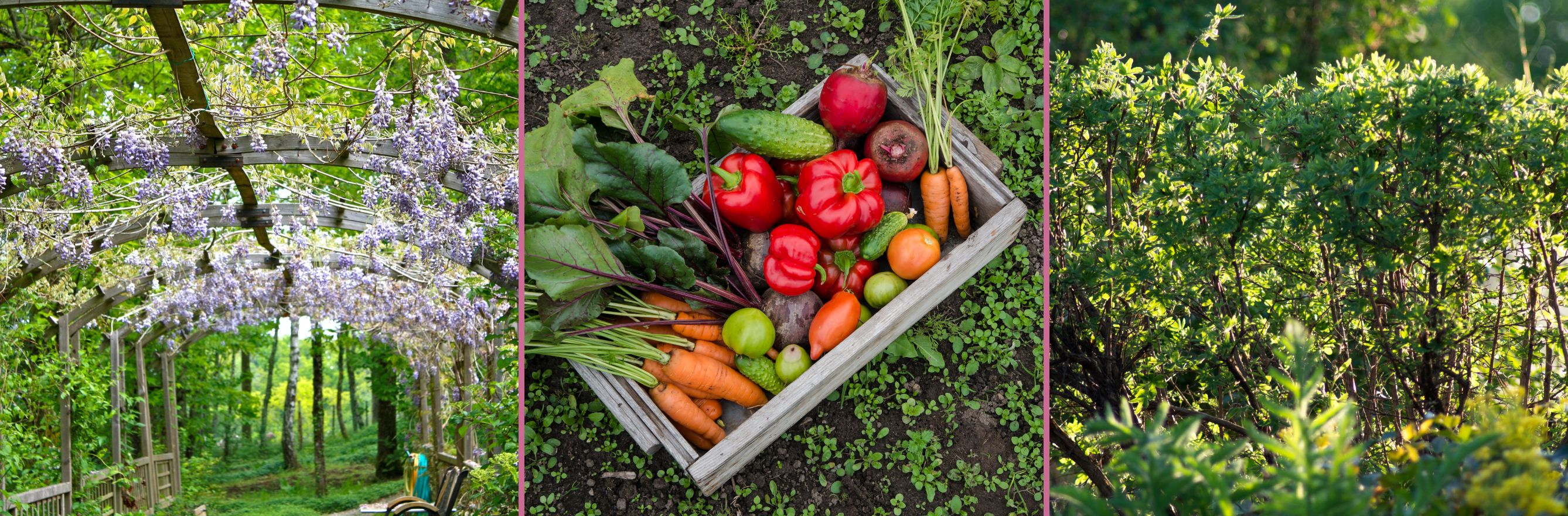 trio petit jardin