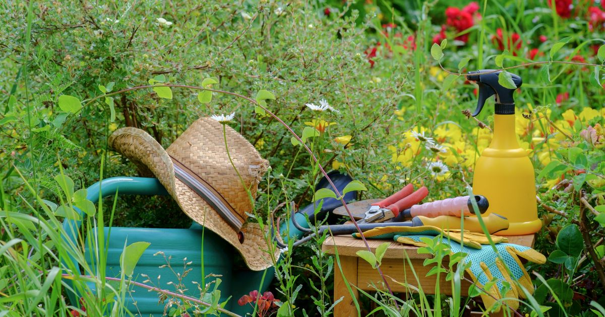 Nettoyer et entretenir vos outils de jardin - Outillage de jardin