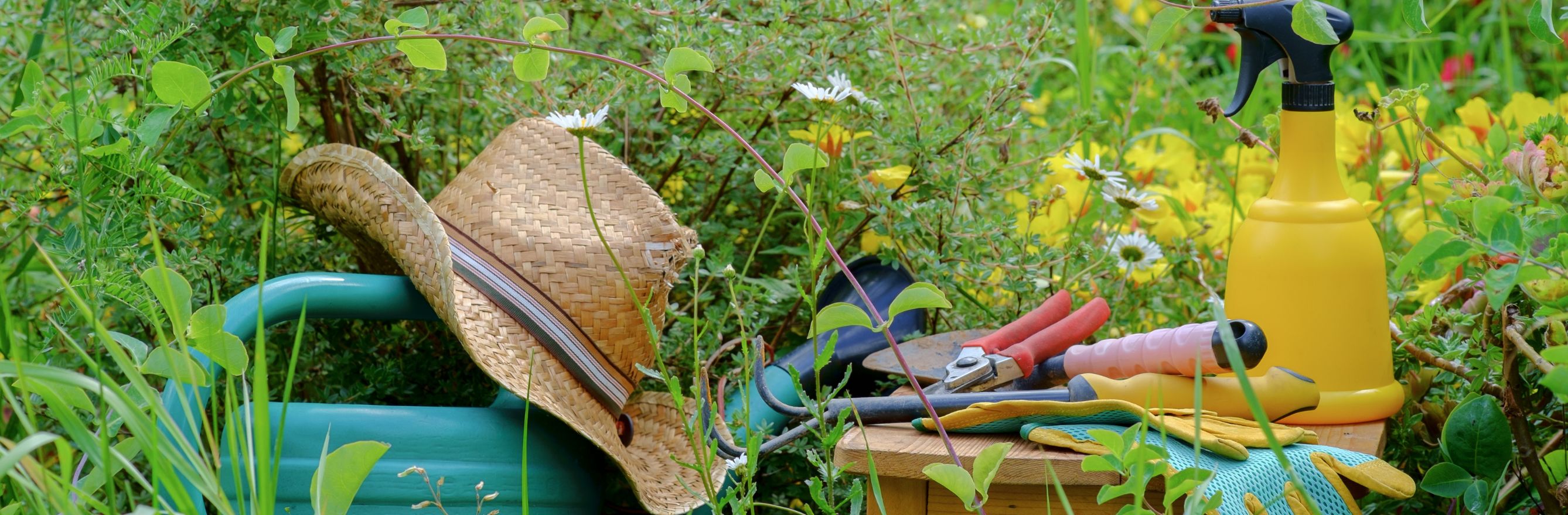 Les outils indispensables au jardin