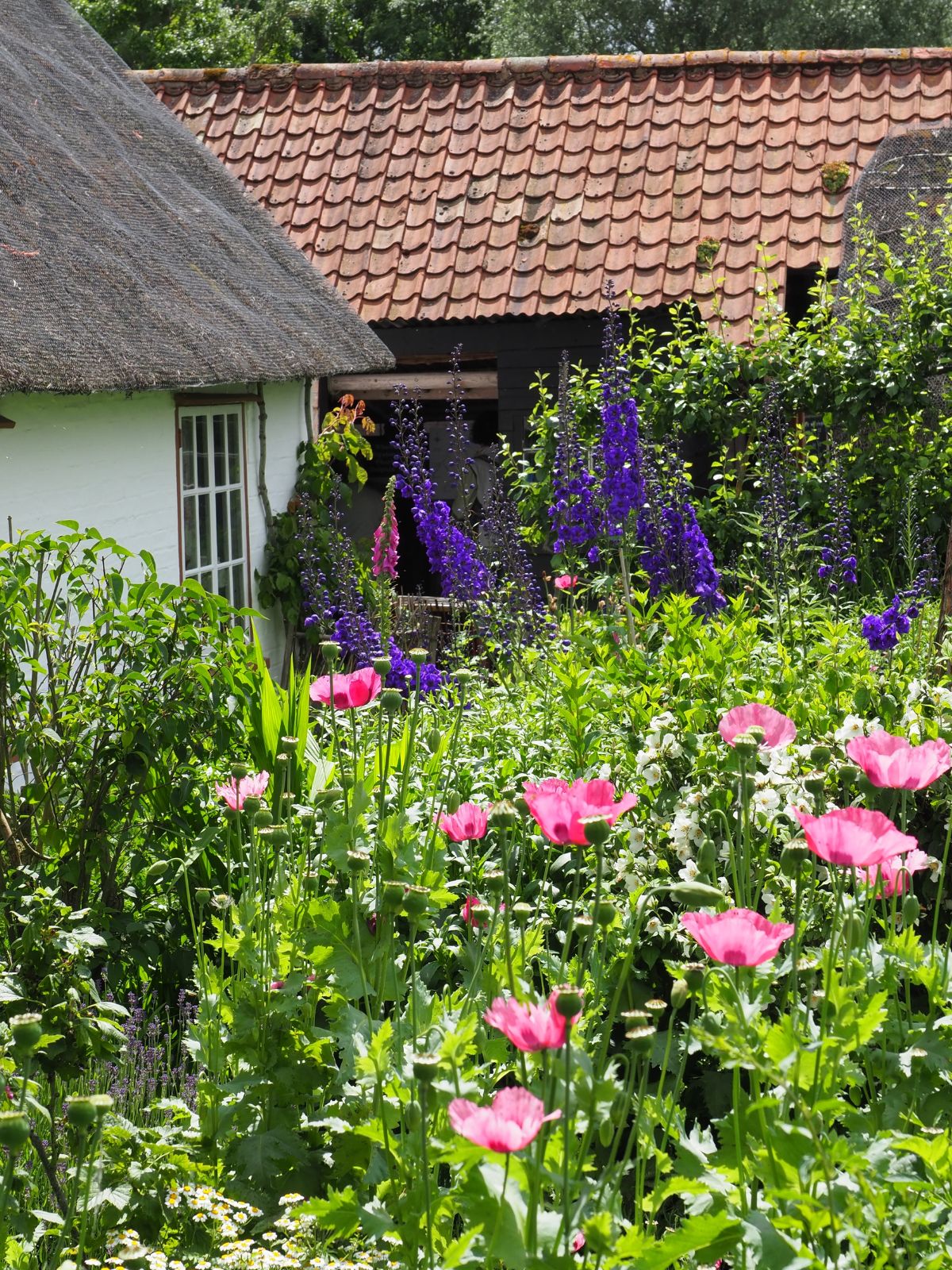 maison de campagne et jardin anglais