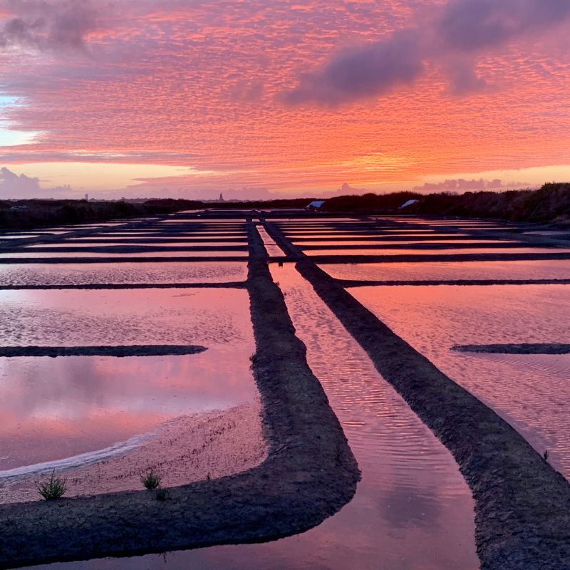 photo des marais salants de Guérande