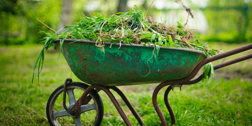 désherbage au jardin