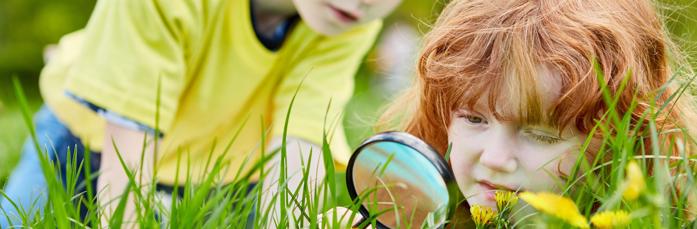 des enfants se renseignent sur la nature