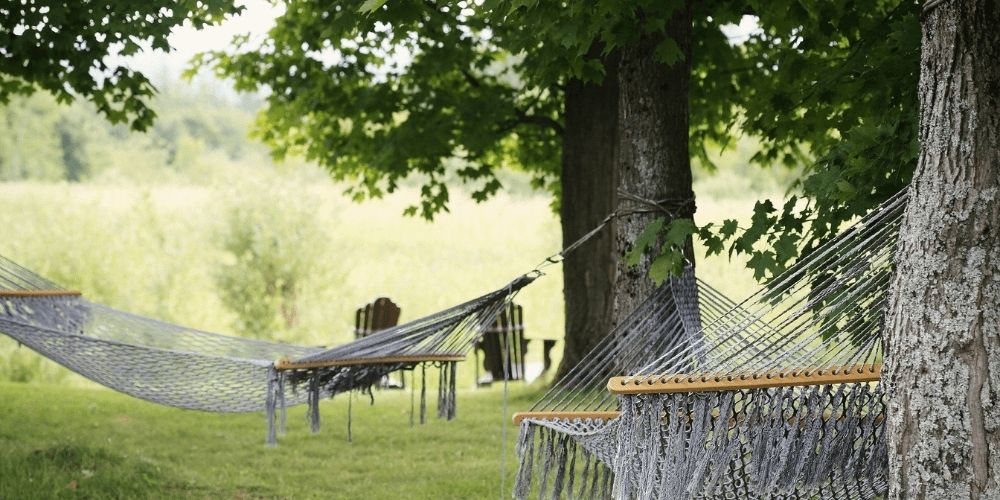 passer des vacances ressourçantes dans la nature