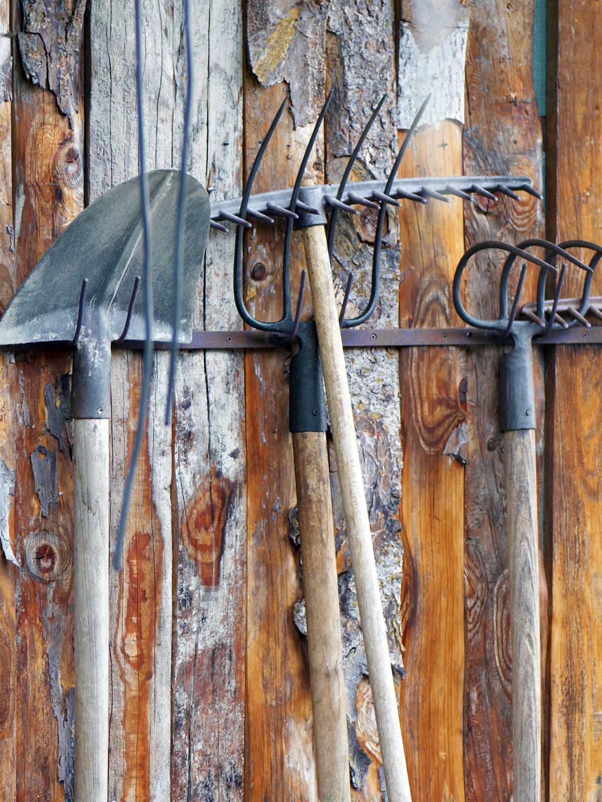 Outils de jardin