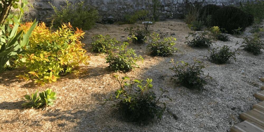 bienfaits du paillage au jardin avec plantation